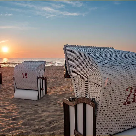 Bansin Seepferdchen 10