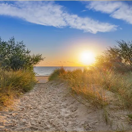 Bansin Seepferdchen 10 *